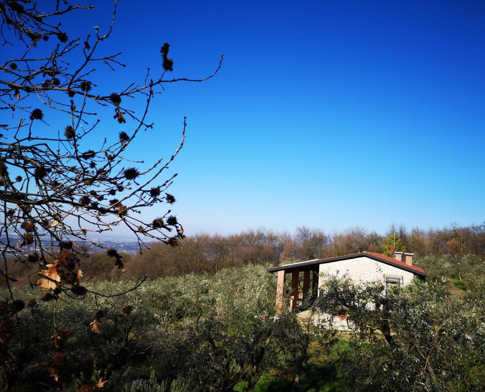ורונה Agriturismo Bosco Magico מראה חיצוני תמונה