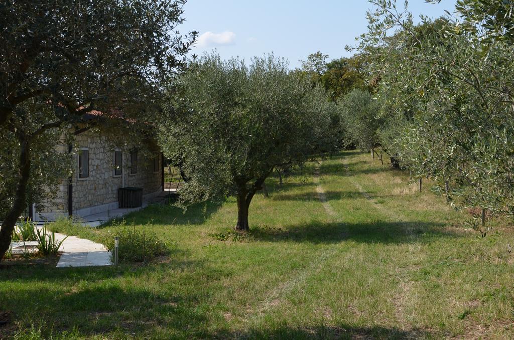 ורונה Agriturismo Bosco Magico מראה חיצוני תמונה